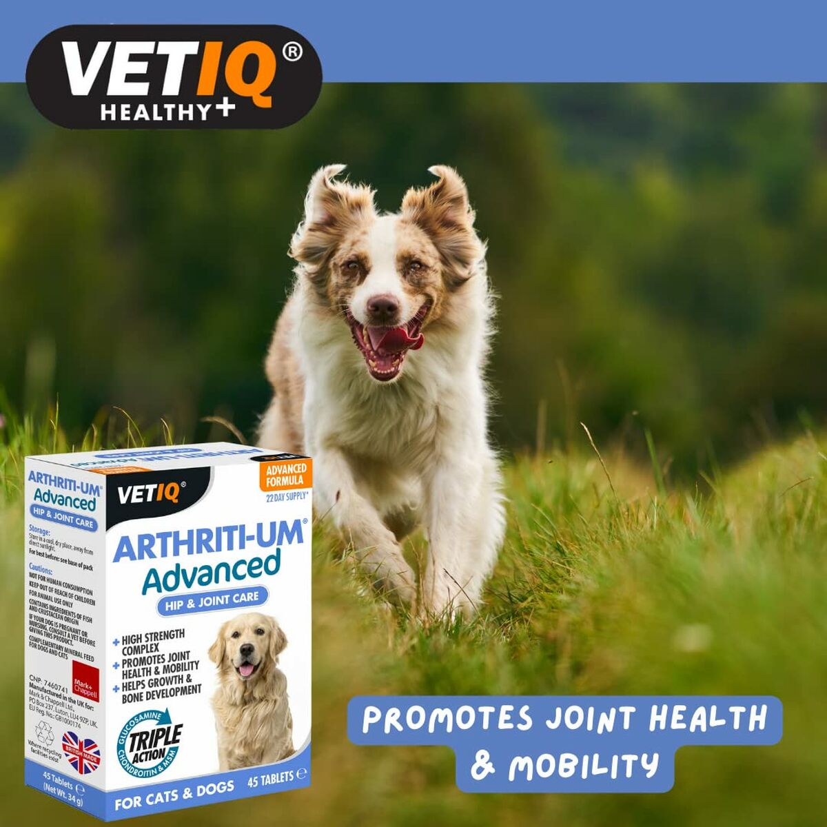 Supplements and vitamins Mark & Chappell VETIQ ARTHRITI-UM ADVANCED